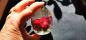 Preview: Rose in a resin egg