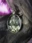 Preview: Oval pendant with dandelion plant parts