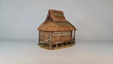 farm house on stilts