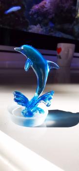 Delphin Show