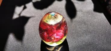 Rose in a resin egg