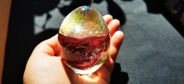 Rose in a resin egg