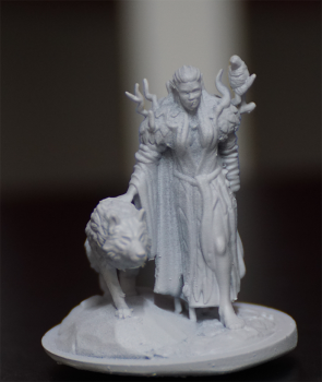 Forest Cultists Set