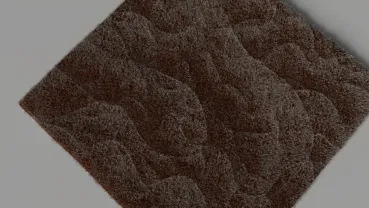 Carpet with particle system