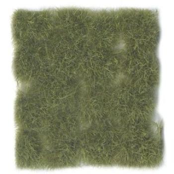 Wild Tuft Dry Green VASC424