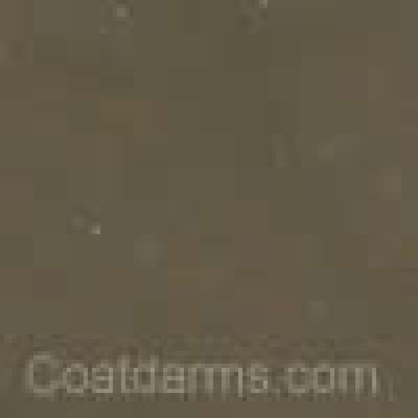 235 - Horse Tone Brown