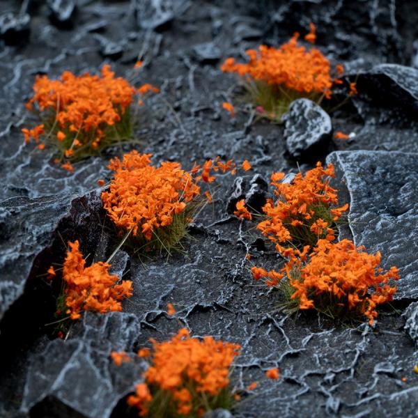 Flowers & Shrubs - Wild Flowers Set Garden Plants