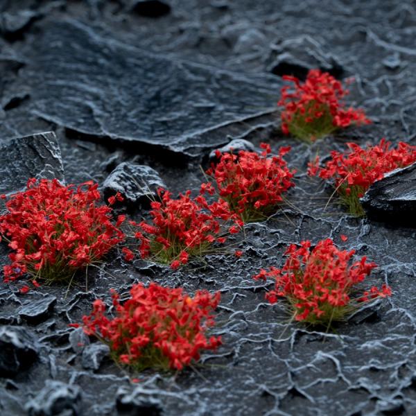 Flowers & Shrubs - Wild Flowers Set Garden Plants