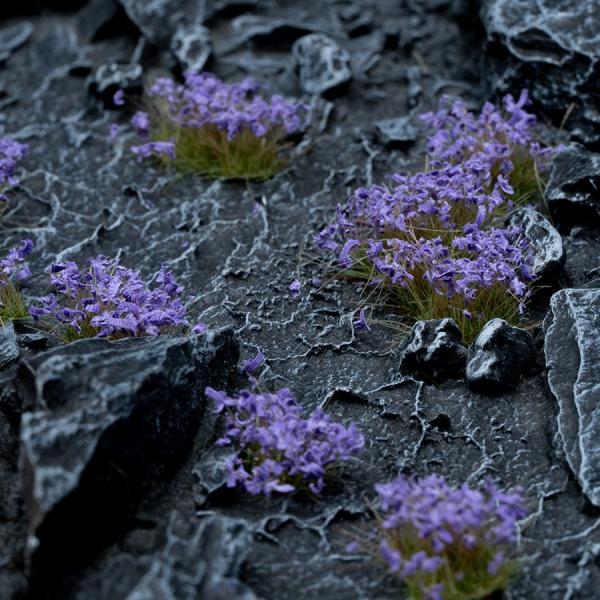 Flowers & Shrubs - Wild Flowers Set Garden Plants