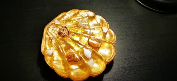 Handmade resin shell jar with lid