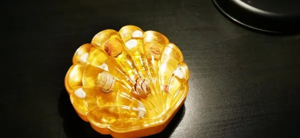 Handmade resin shell jar with lid