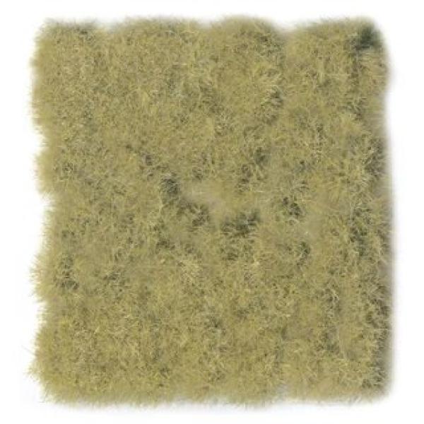 Wild Tuft Dense Beige VASC412