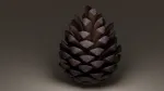 Pine cone set