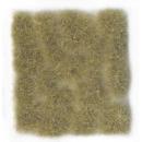 Wild Tuft Beige VASC429