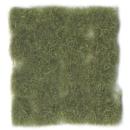Wild Tuft Dry Green VASC424