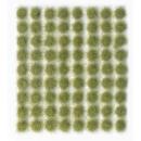 Wild Tuft Light Green VASC407